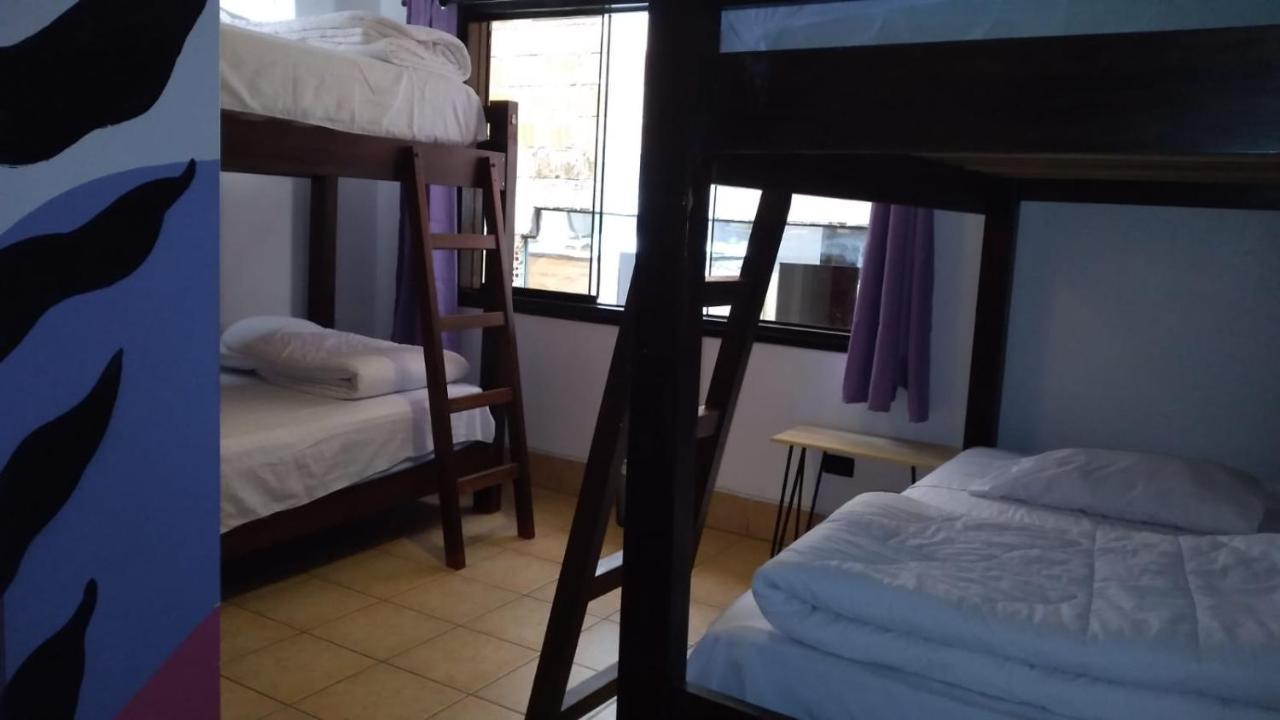 Supertramp Hostel Machupicchu Εξωτερικό φωτογραφία